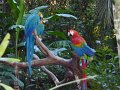 034_Parc aux oiseaux